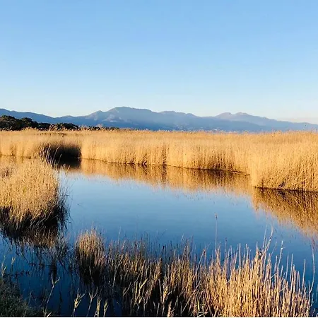 Σπίτι διακοπών Clos Palatino - 3 Etoiles - 3 3 Salles De Bain Borgo (Corsica)
