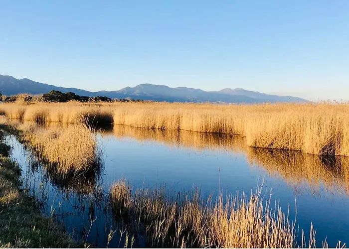 Prázdninový dům Jolie Maison Trois Trois Salles De Bain Borgo (Corsica)